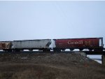 CP 608004 & GACX 6391